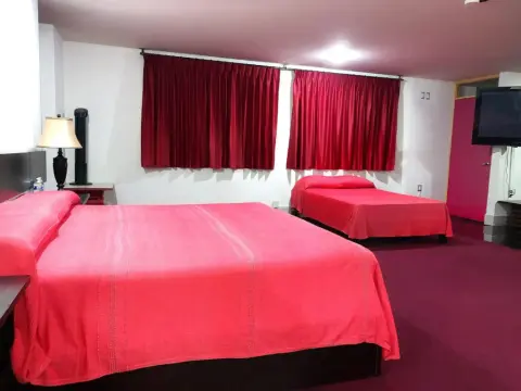 Hotel Palacio Rojo - Photo 4