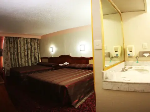 Hotel Plaza Madrid - Photo 3