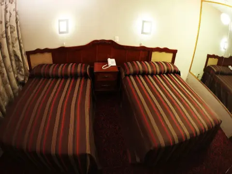 Hotel Plaza Madrid - Photo 4