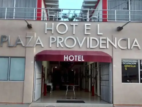 Hotel Plaza Providencia - Photo 1