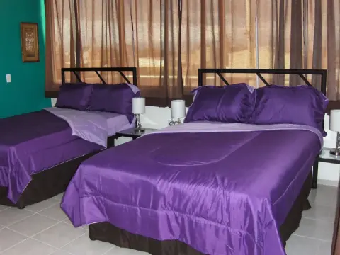 Hotel Plaza Providencia - Photo 2