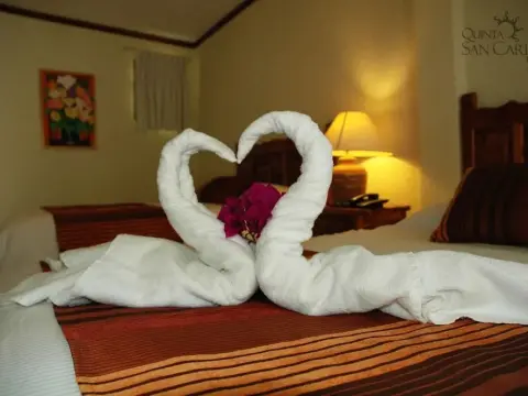 Hotel Quinta San Carlos - Photo 4