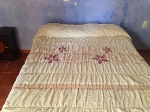 Hotel Real Hidalgo - Photo 4