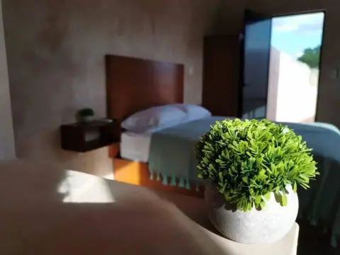 Hotelito Yum Kaax - Photo 2