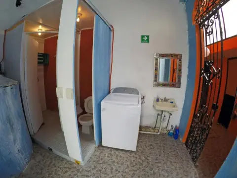 Iguana Hostel Oaxaca - Foto 3