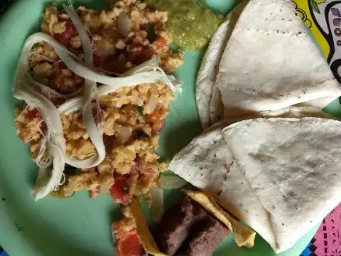 Iguana Hostel Oaxaca - Foto 4