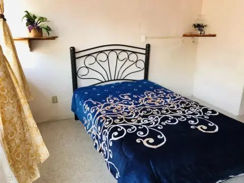 La Bugambilia - Foto 3