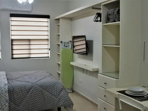 Lofts De La Calle Humboldt I - Photo 4