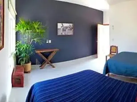 Los 4 Pulques Hotel - Photo 4