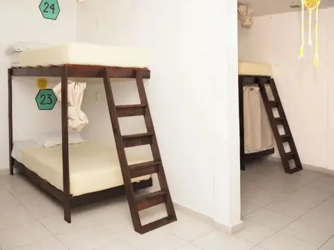 Lucky Traveler Hostel - Photo 1