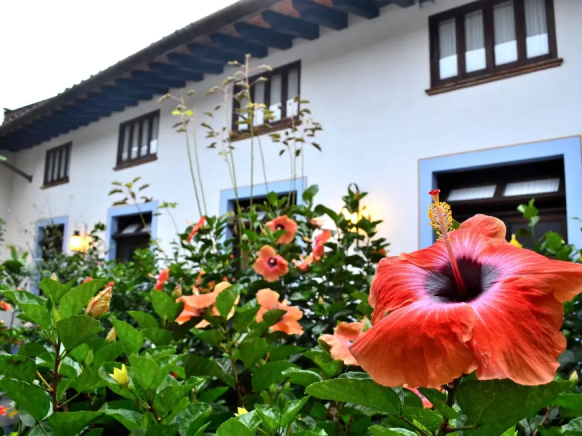 Meson del Alferez Coatepec