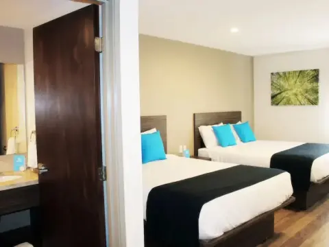 NOKTOS Extended Mérida - Photo 2