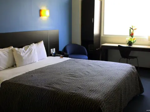 Occidental Querétaro-Barceló Hotel Group - Photo 3