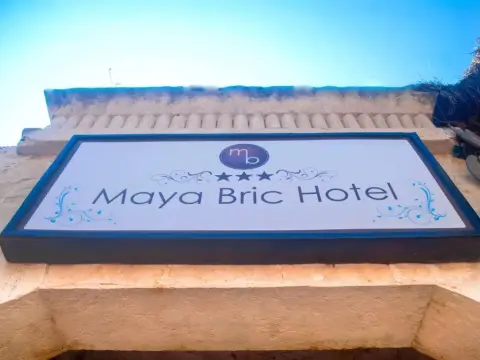 Original Maya Bric - фото 1