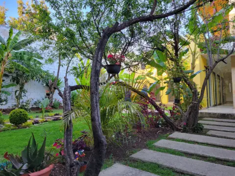 Jardines De Luz Hotel - Photo 4