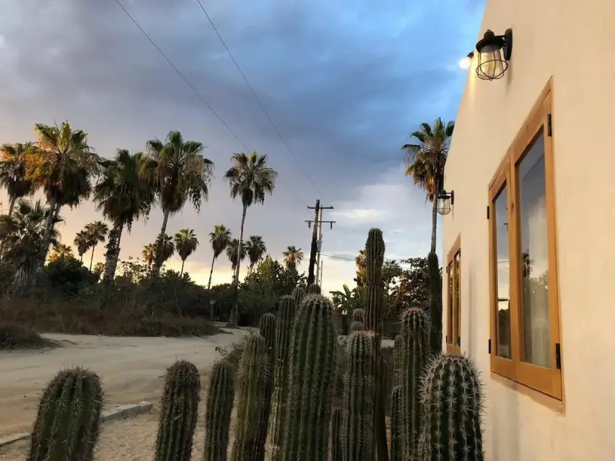 Palmar pescadero