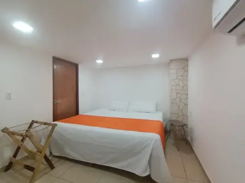 Palmas De Chahue - Photo 2