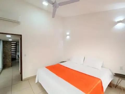 Palmas De Chahue - Photo 4