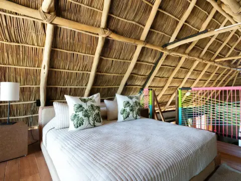 Papelillo Lofts - Photo 3