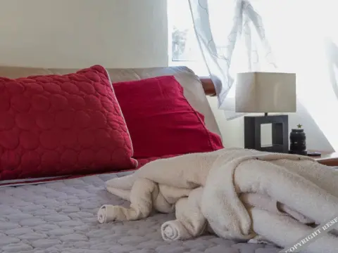 Playa OnTime - Photo 4