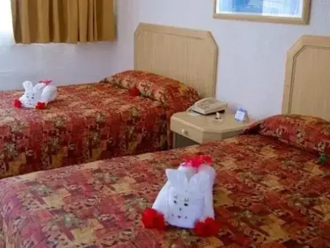 Qualton Club & Spa Puerto Vallarta - Photo 2