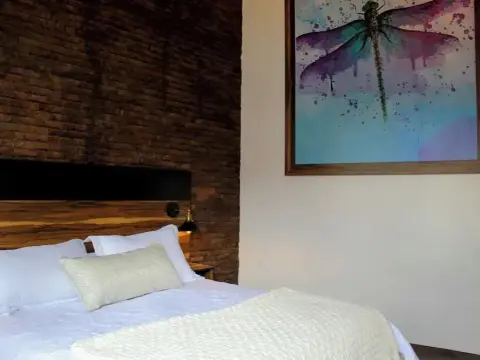 Quinta Juriquilla - Photo 4