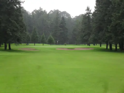 Rancho Viejo - Photo 4