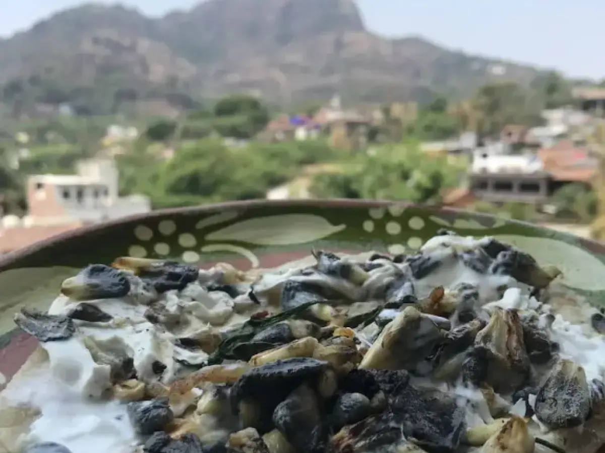 Revolucion Hospedaje