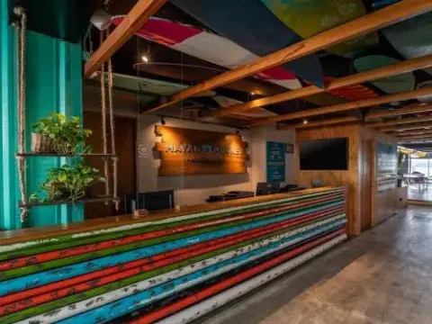 Señor Frogs Hostel - Adults Only - Photo 4