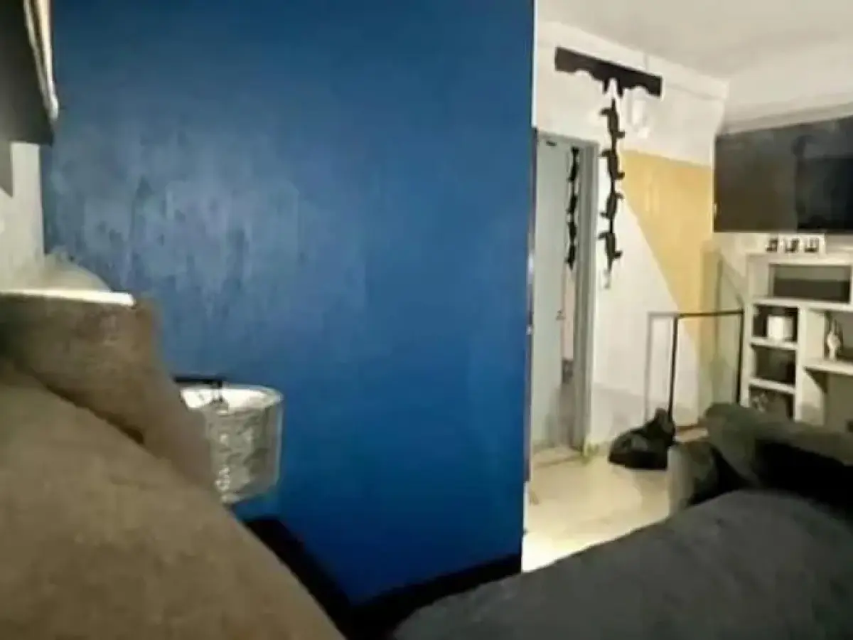 Suites Bugambilias Rooms Primavera Bosque