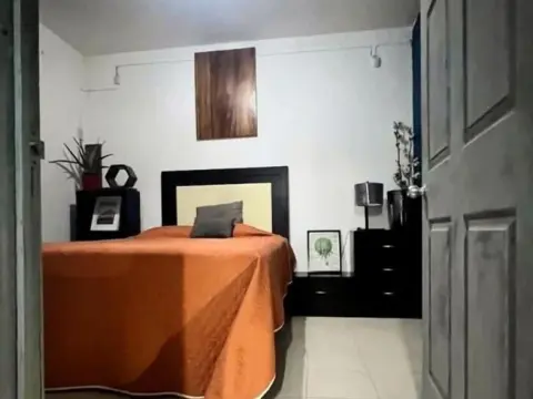 Suites Bugambilias Rooms Primavera Bosque - Photo 4