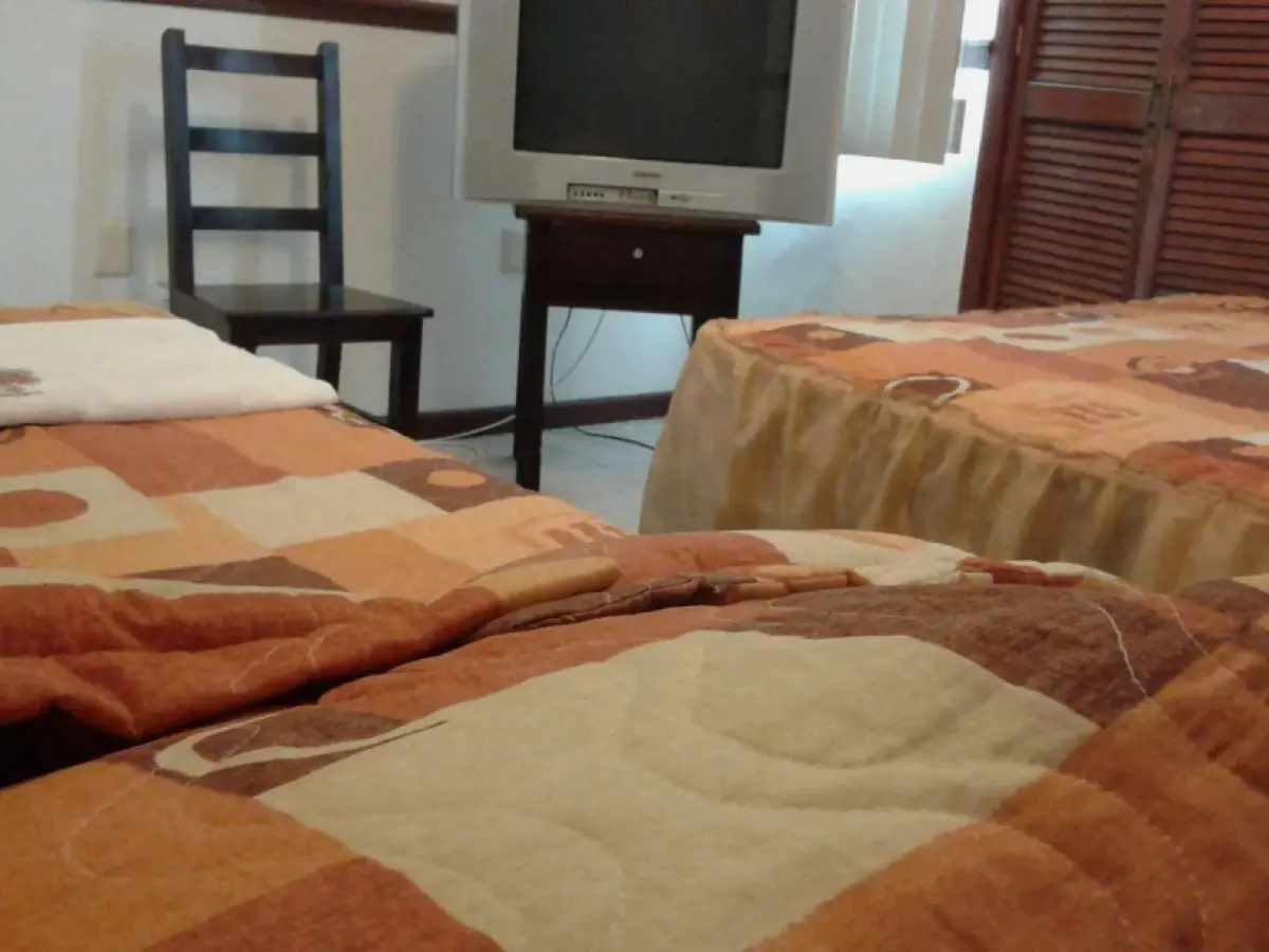 Suites Ripoll Alameda