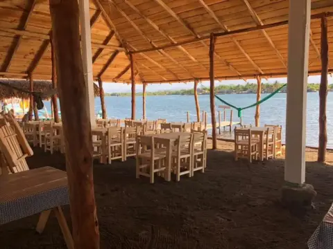 Tachinaste - Photo 4