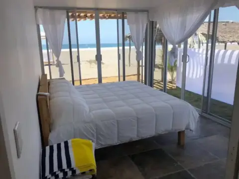 Tachinaste - Photo 1