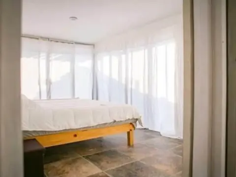 Tachinaste - Photo 2