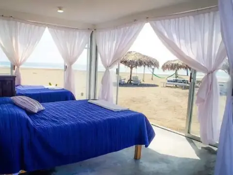 Tachinaste - Photo 3