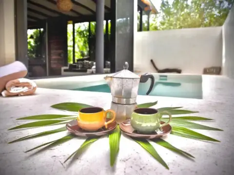 Villa Feronia Tulum - Photo 4