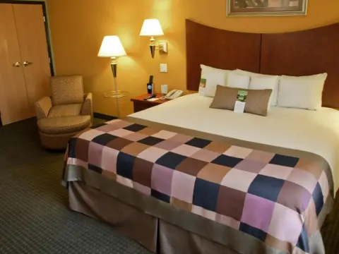 Wingate By Wyndham Chihuahua - Photo 2