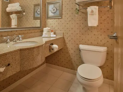 Wingate By Wyndham Chihuahua - Photo 3