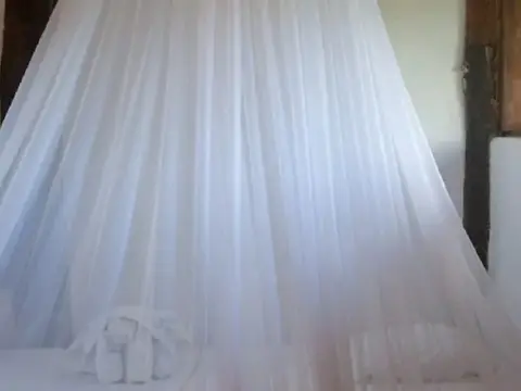 Yoga Shala Tulum - Photo 4