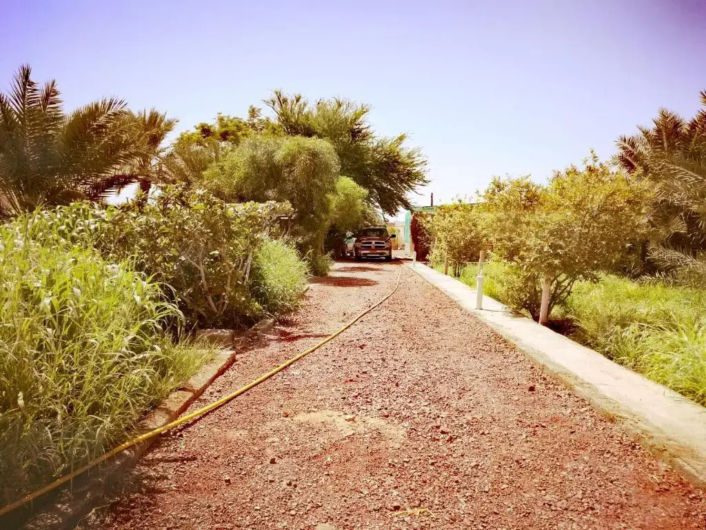 Yonis Farm - Photo 3