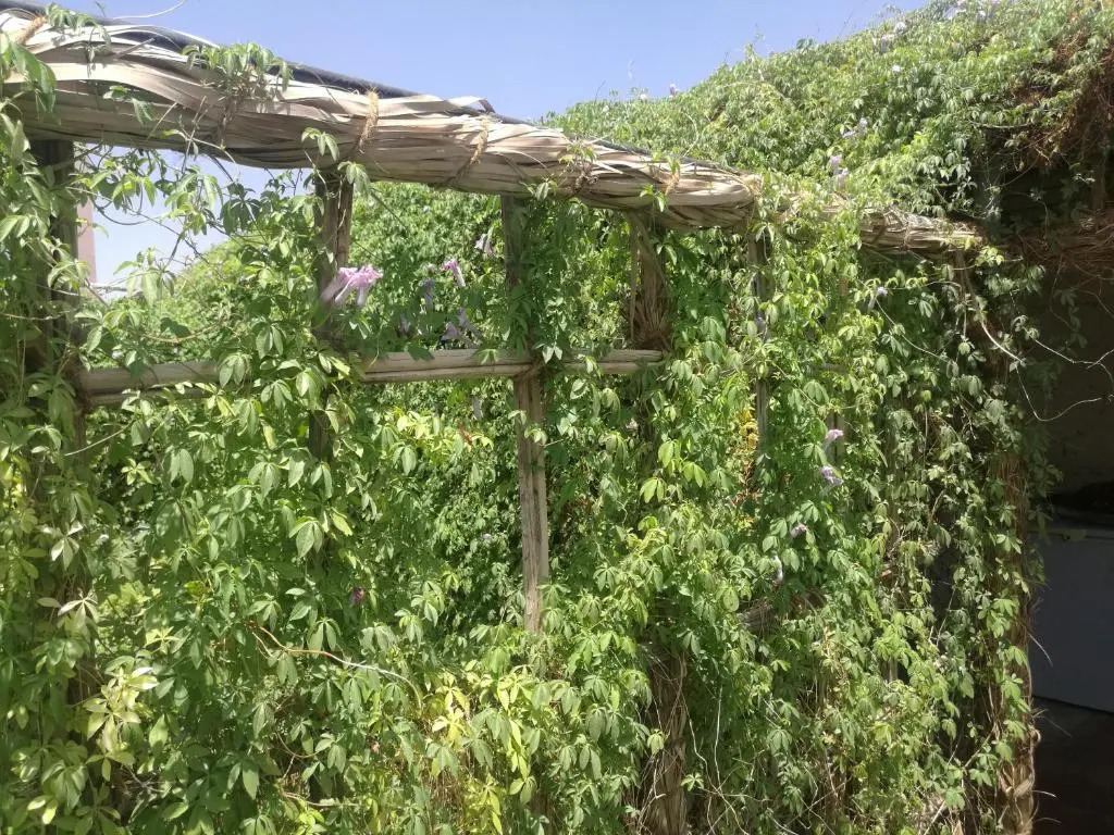 Yonis Farm - Photo 4