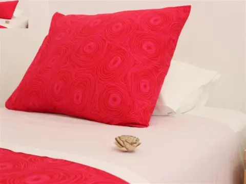 Born to Stay in Milfontes - Photo 2