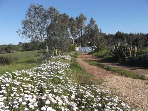 Courela do Salgueiro - фото 3