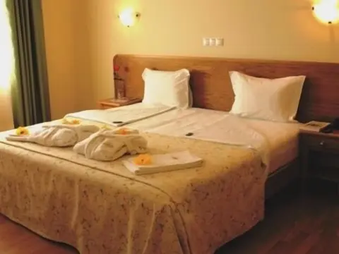 Hotel Estrela Da Idanha - Photo 3