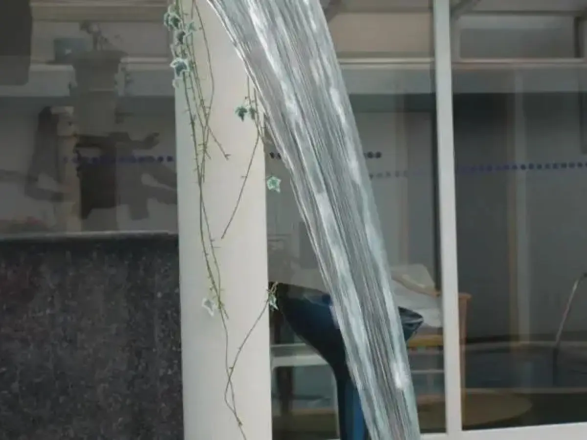 Motel D'Lirius Azuis