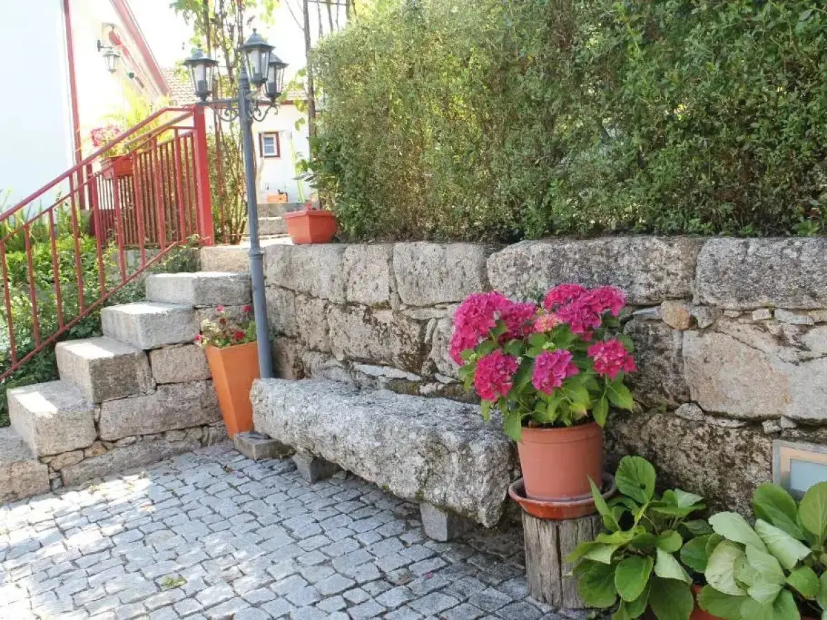 O Aconchego das Raízes