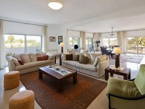 Quinta A Palmeira Grande - Photo 3