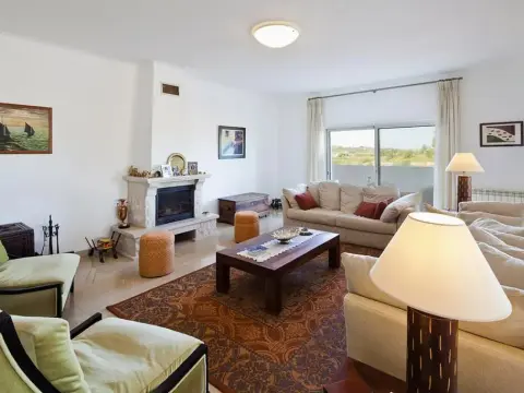 Quinta A Palmeira Grande - Photo 4