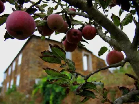Quinta de Gildinho - Photo 1